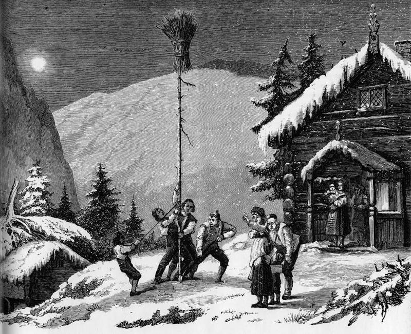 På 1800-tallet ble jule­neket reist for å glede småfuglene med julekveldsmat, og var også et symbol på omtanke for de svakeste.