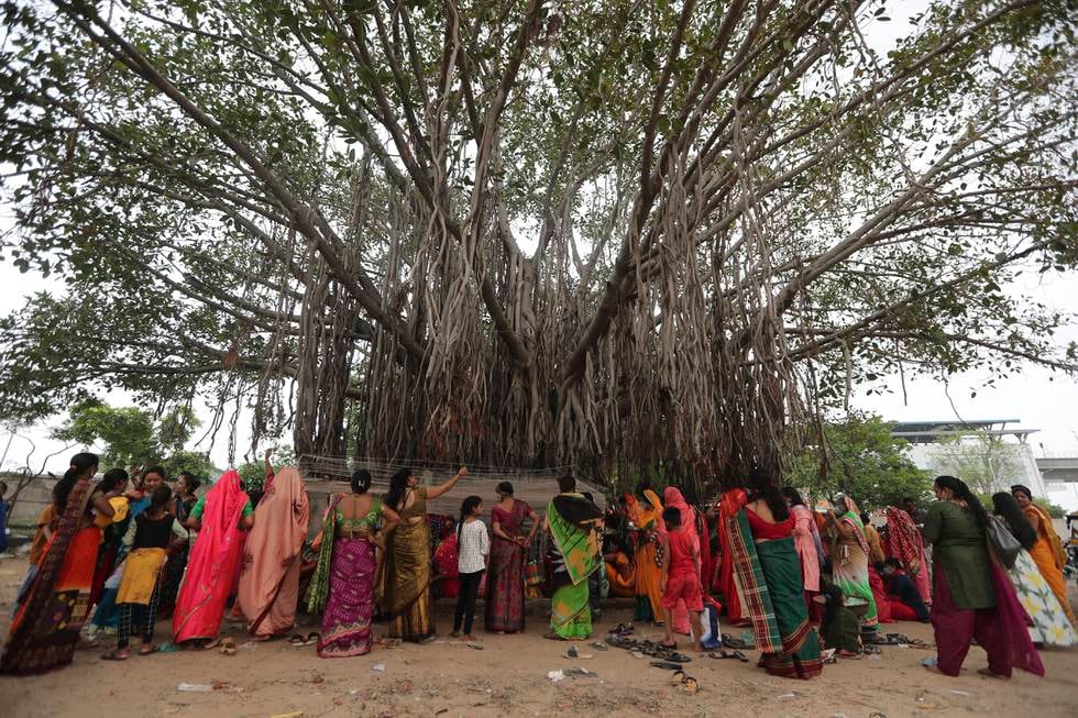 Married Hindu women perform rituals around a Banyan tree on Vat Savitri festival in Ahmedabad, India, Thursday, June 24, 2021. Vat Savitri is celebrated on a full moon day where women pray for the longevity of their husbands. (AP Photo/Ajit Solanki)