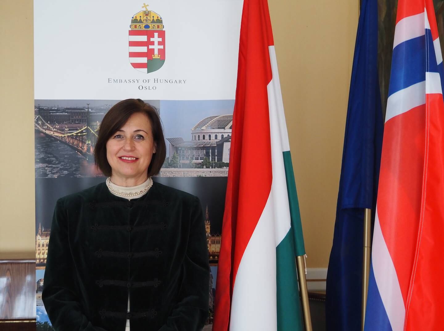 Ungarns ambassadør