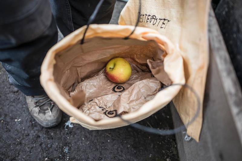 Et eple i potetposen om vinteren hindrer at potetene får groer gjennom vinteren når de ligger i kjelleren eller et annet kaldt sted.