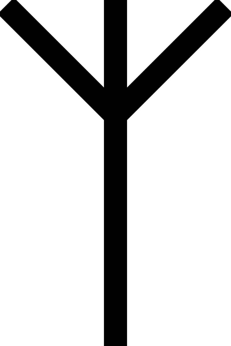 Leben-runen ble blant annet brukt av den nazistiske militærgruppen SS.