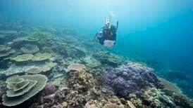 Australia satser milliarder på å redde Great Barrier Reef