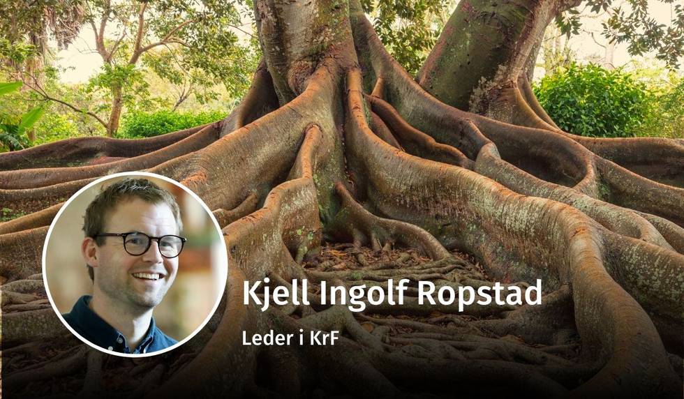 Kjell Ingolf Ropstad, kristne verdier, debatt