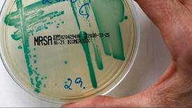 Sterk økning av resistente bakterier