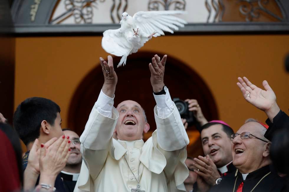 Pave Frans, due, fredsdue, den katolske kirke