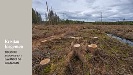 Vi må hogge mer gammel skog for å redusere klimautslippene