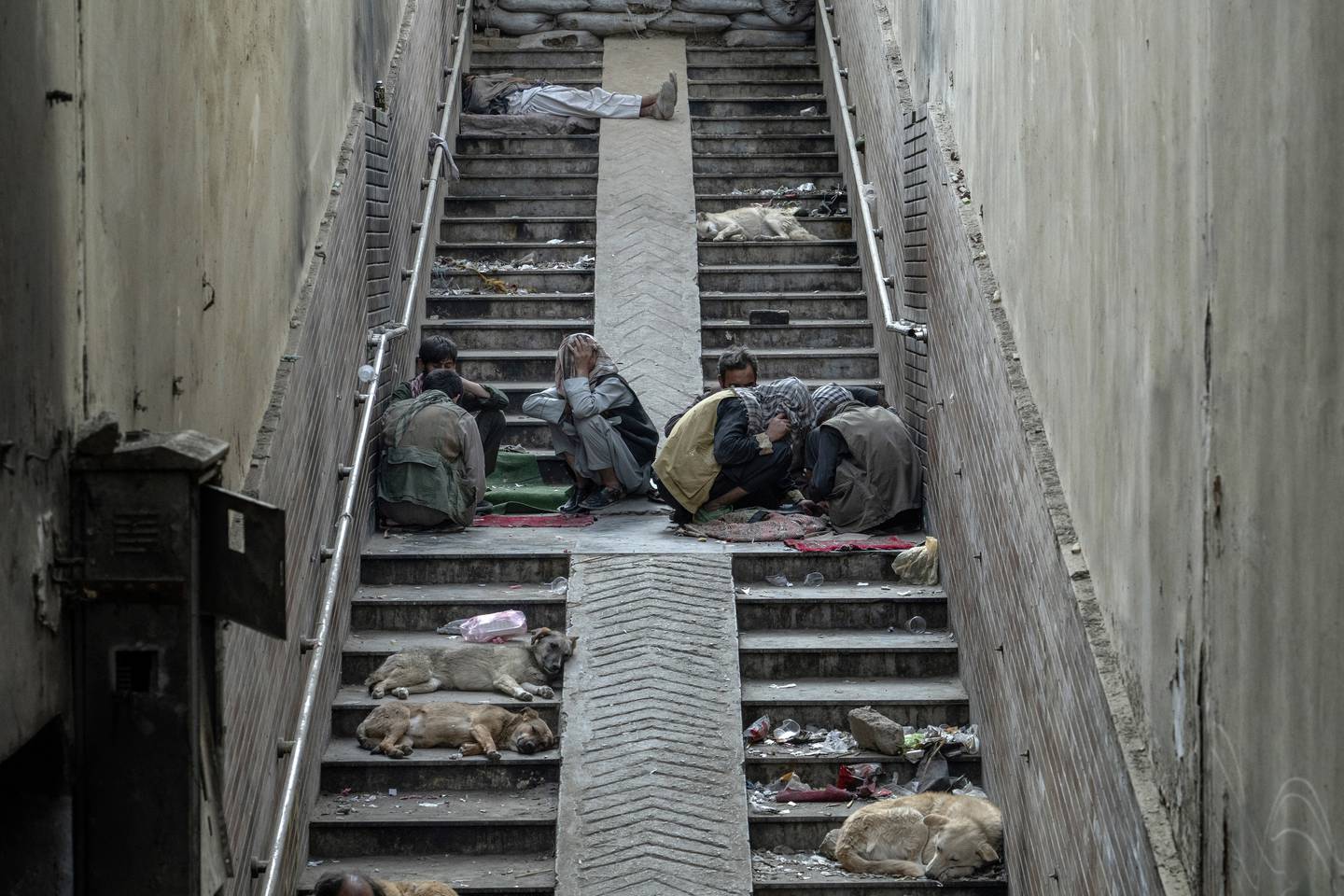 Afghans drug addicts gather under a bridge to smoke heroin, as the addicted and hungover dogs have fallen on the ground, in the city of Kabul, Afghanistan, Tuesday, June 7, 2022. Drug addiction has long been a problem in Afghanistan, the world’s biggest producer of opium and heroin. The ranks of the addicted have been fueled by persistent poverty and by decades of war that left few families unscarred. (AP Photo/Ebrahim Noroozi)