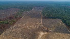 Brasils regjering saksøkt for å ødelegge norsk regnskogssatsing