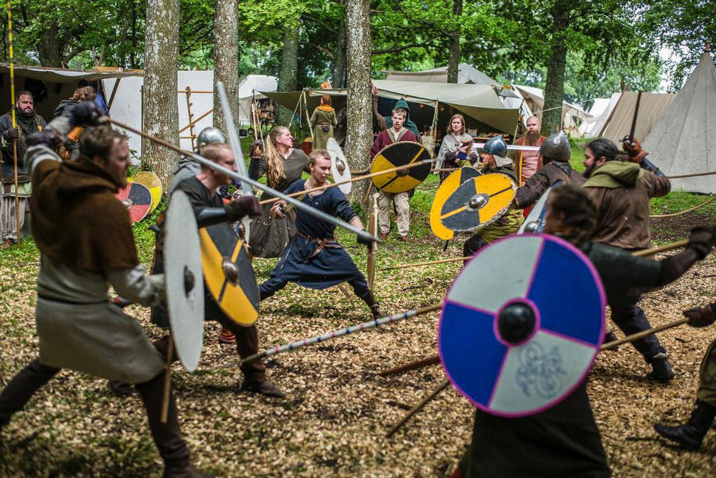 På vikingmarkedet i Borre får publikum­ oppleve både fredelige og mer brutale sider ved vikingtilværelsen. Blankvåpengruppen Vikverir viser frem krigernes kampteknikker,  og slåss til skjoldene nærmest er pinneved.