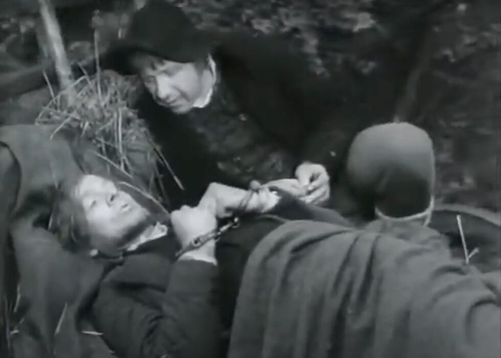Hans Nielsen Hauge, film