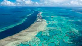 FN vurderer å rødliste Great Barrier Reef