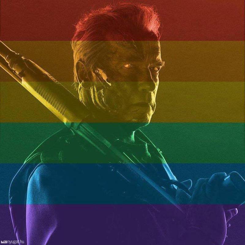 Da en fan mente han måtte «unlikẹ» Arnold Schwarzenegger fordi han hadde byttet til et regnbuefarga profilbilde, var svaret til the guvernator: Hasta la vista.