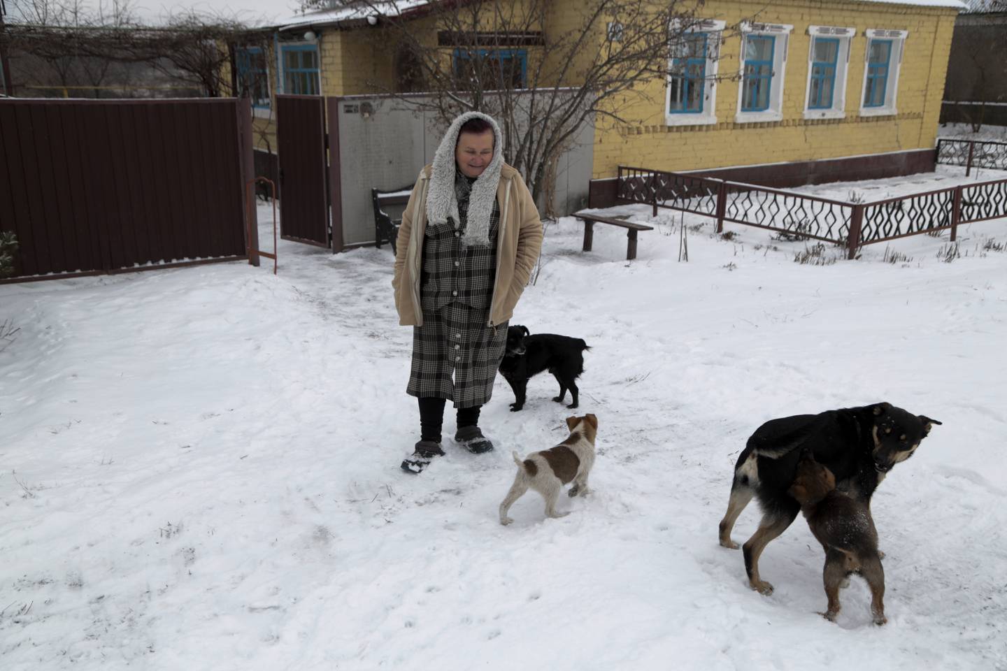 FILE - A woman walks with her dogs on the territory controlled by pro-Russian militants near frontline with Ukrainian government forces in Slavyanoserbsk, Luhansk region, eastern Ukraine, Jan. 25, 2022. Soldiers and civilians in eastern Ukraine are waiting with helpless anticipation to see if war comes. They understand that the decision will be made by people who know little about the lives of those on the eastern front lines. (AP Photo/Alexei Alexandrov, file)