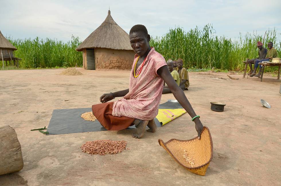 Sør-Sudan er foreløpig siste land som er erklært fri for guineorm-sykdommen. 48 år gamle Rejina Bodi i landsbyen Terekeka fortalte i 2017 hvordan hun i 2009 i en periode på sju måneder fikk trukket ut mer enn ti guineaormer fra kroppen.