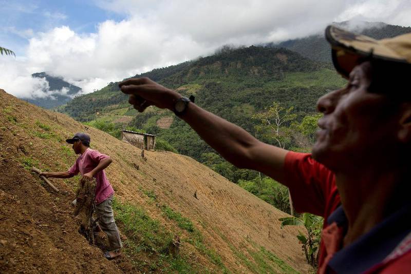 Kokainbonde Alfredo Mosco (44) til høyre gir instrukser til en av sine ansatte på en kokaplantasje i La Mar, Ayacucho i Peru. Å utvinne kokain er nærmest eneste levebrød i denne dalen, der bønder i  gjennomsnitt tjener mindre en 10 dollar dagen. 