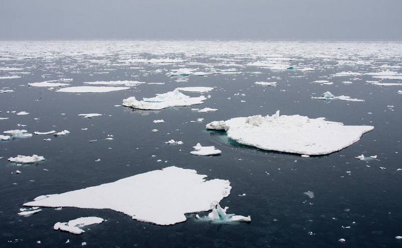 Flere organisasjoner går sammen for å verne om Arktis – om nødvendig med et saksmål mot den norske staten.