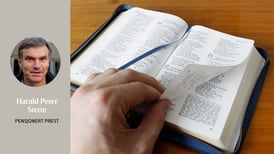 Bibelsyn og bibelbruk