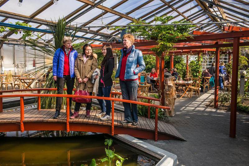 De ser på karpene i dammen i botanisk hage. Atefeh Mohammadi (nr. 2 fra v.) og datteren Sacedek Shafaee flankert av sine flyktningfaddere på Island – Ingibjørg Eggertsdottir (t.v.) og Tora Kristinsdottir.