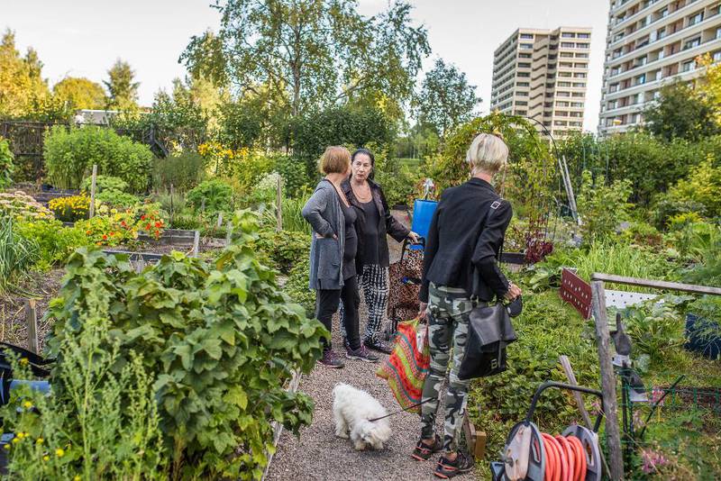 Pasellhagene gir blokkbeboere mulighet til å ha sin egen hage i byen. Tveita Parsellhager sin leder Monique Nordhagen bor i en av «tveitablokkene», og har sin egen parsellhage rett utenfor blokka.