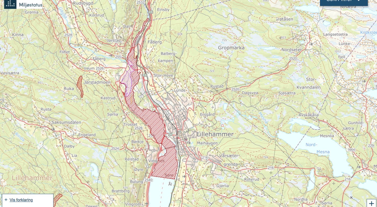 Miljødirektoratets kart som viser verneområdet Lågendeltaet i skravert rødt.