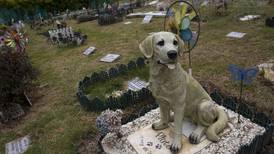 Svensk menighet tilbyr gravplasser for kjæledyr