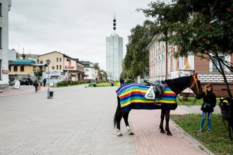 Regnbuekledt: Hestene er de eneste som våger å ikle seg regnbuefarger i gatene i Arkhangelsk. 