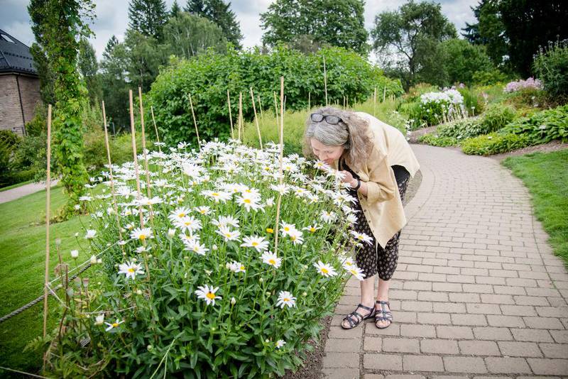 Kari Vetlesen har skrevet en bok om Bestemors Hage, men inspirasjon fra sin egen mormors hage på vestlandet og fra fortellinger fra andre. Her er hun fotografert i Oldemors hage i Botanisk hage.