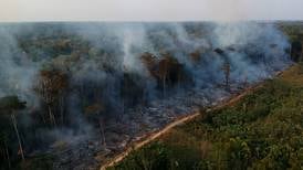 Krise for regnskogen betyr krise for menneskene