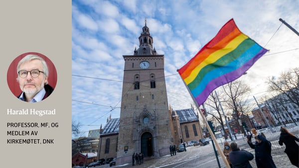 Tid for å erkjenne kirkens urett mot homofile