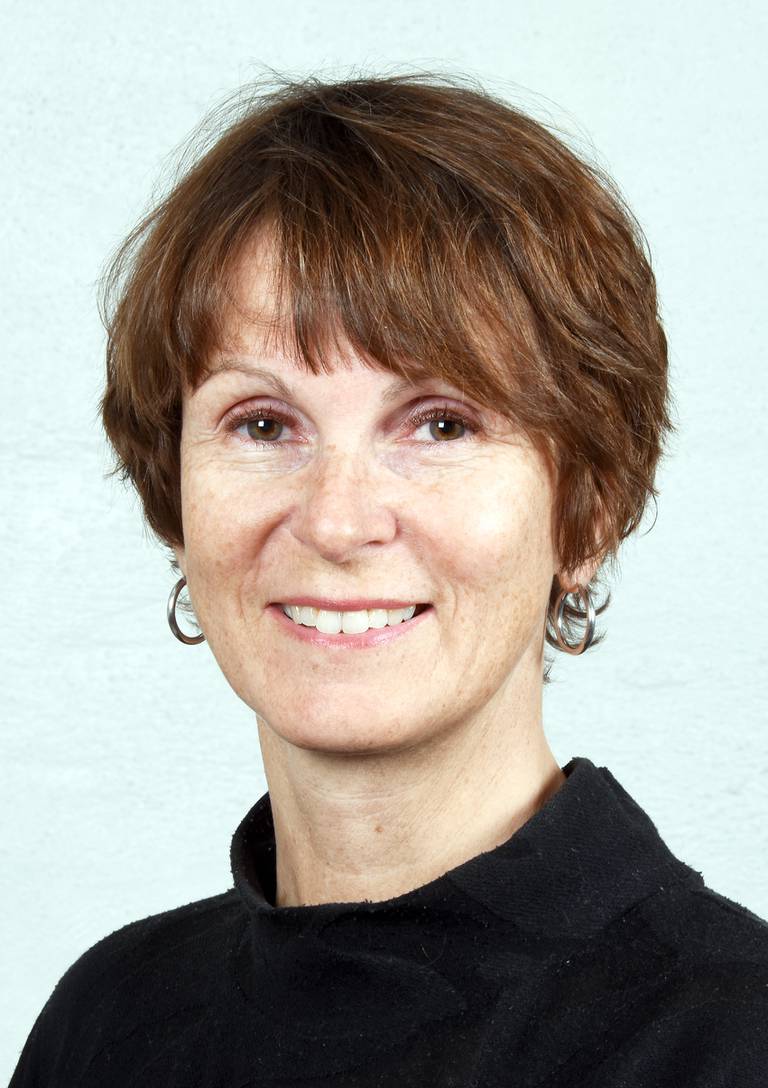 Professor og instituttleder Guri Rørtveit ved Universitetet i Bergen.