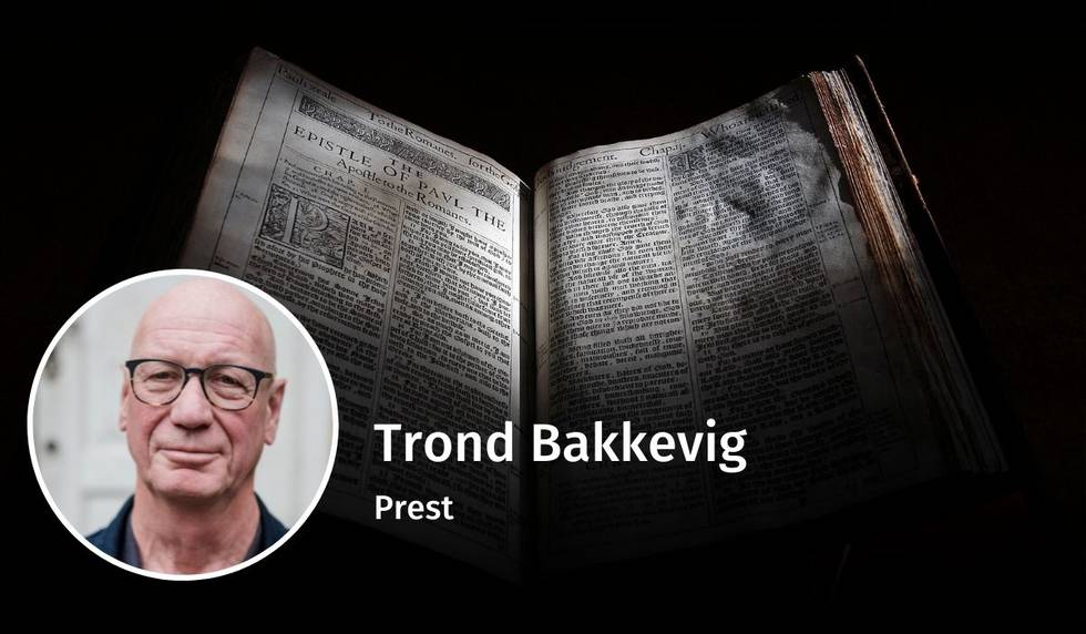 Trond Bakkevig, bibeloversettelse, debatt