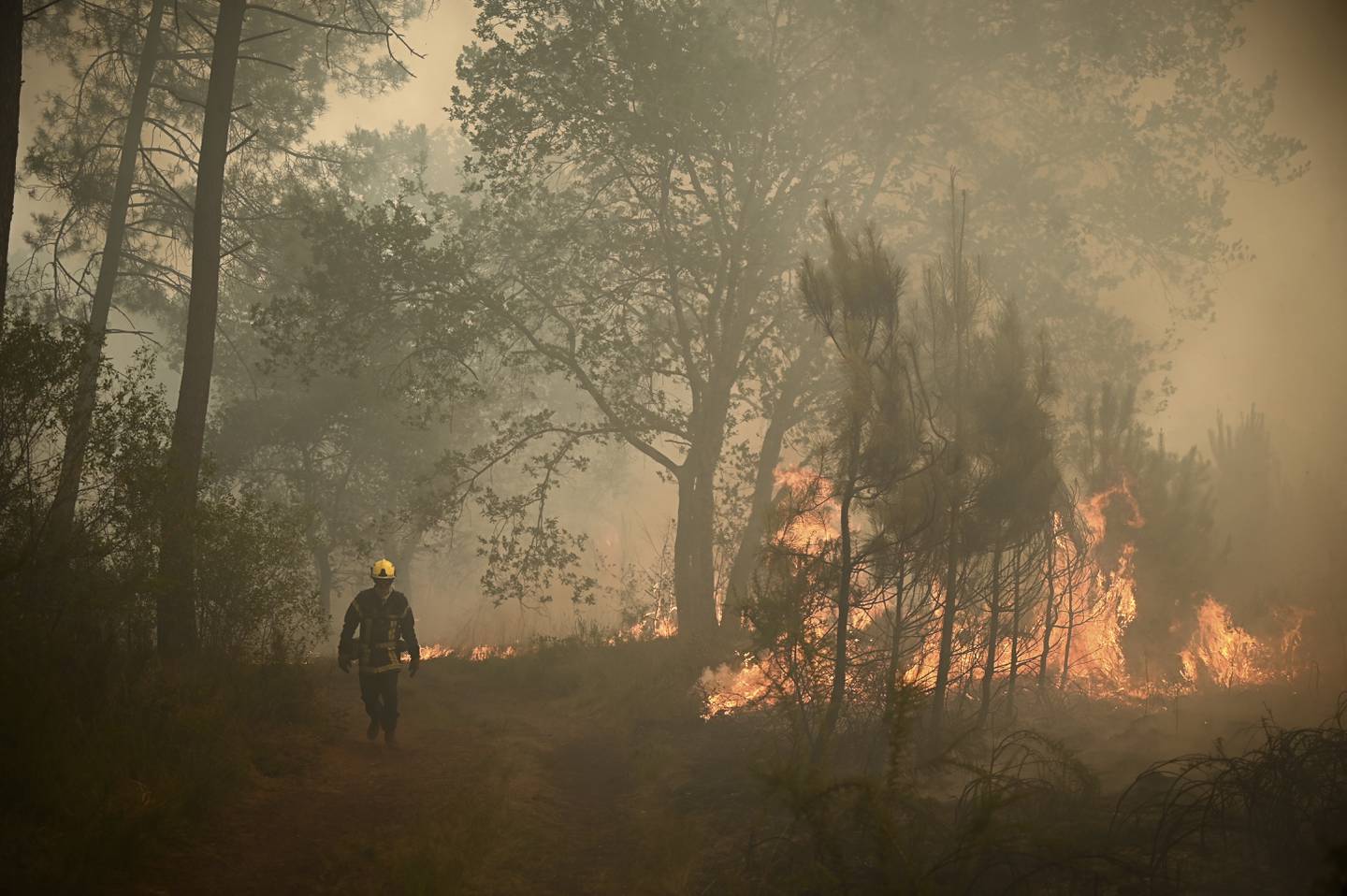 I den regionen Gironde sørvest i Frankrike, som var herjet av skogbranner i juli, ble det 3. august målt rekordhøye temperaturer på 39,6 grader. Foto: Phillippe Lopez / AP / NTB