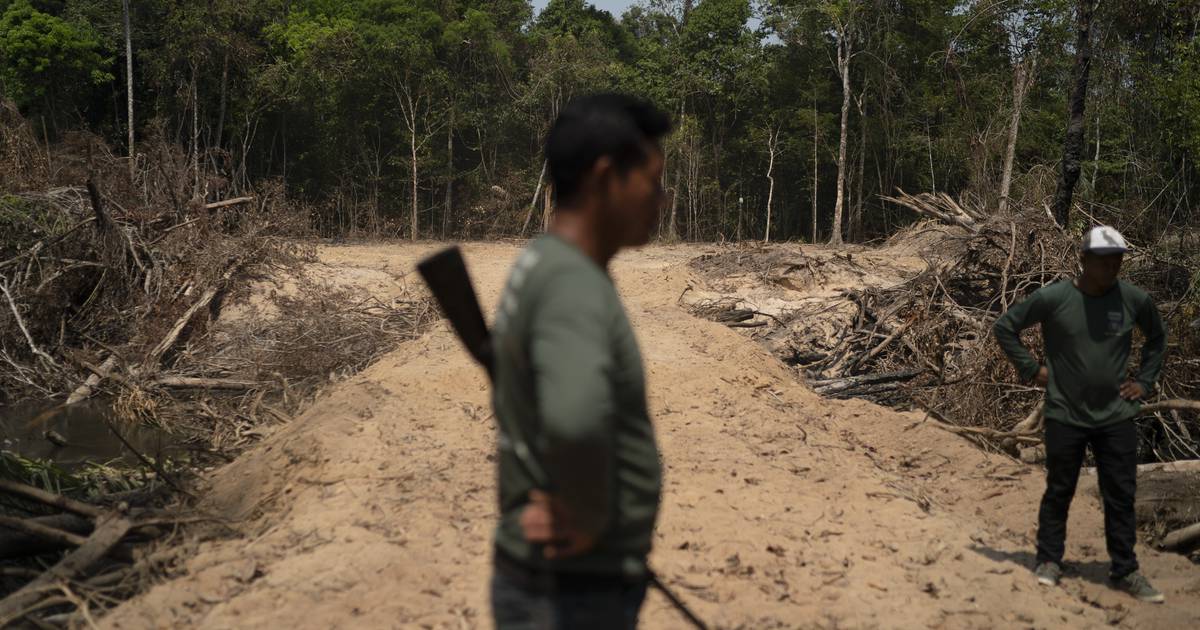 More fires in the Brazilian Amazon – Our Land