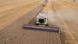Ukraina: Eksport av viktige landbruksprodukter halvert etter den russiske invasjonen