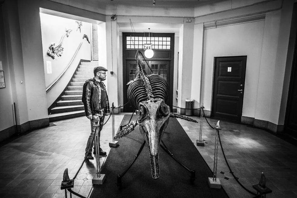 – Vi trenger ikke det overnaturlige for å fylle livet med mysterier, mener bloggeren Gunnar Tjomlid, her på Naturhistorisk museum i Oslo. – Tenk at vi mennesker er nærmere i slekt med sopp enn hva sopp er med planter! Eller at vi er tidsmessig nærmere Tyrannosaurus rex enn hva Tyrannosaurus rex er med Stegosaurus! 