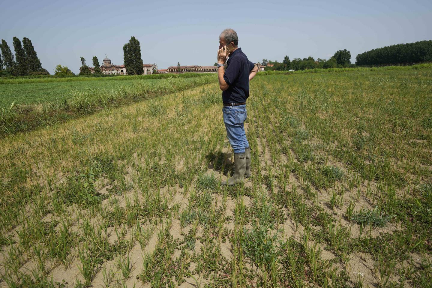Risbonden Giovanni Daghetta står på en av sine uttørkede rismarker i Mortara i Lomellina -regionen i Nord-Italia 27. juni. Foto: Luca Bruno / AP / NTB