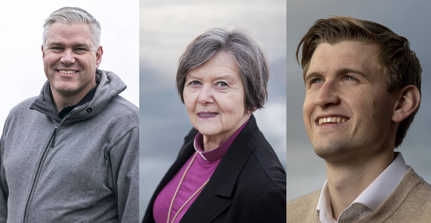 Leif Ingvald Skaug, Helge Haugland Byfuglien og Thor Haavik er nominert til Petter Dass-prisen 2020.
