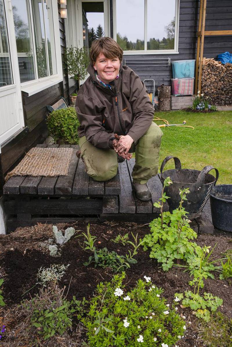 Marianne Utengen anbefaler å gå til naboen for å få tak i planter. – Naboen er stolt av det han har dyrket frem og gir deg det beste, sier hun.