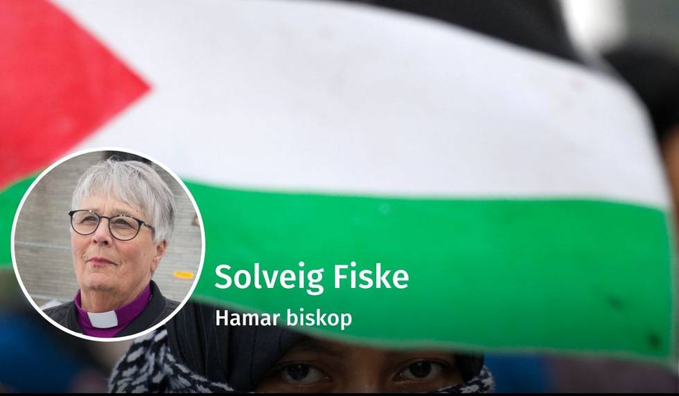 Solveig Fiske, Israel Palestina, debatt