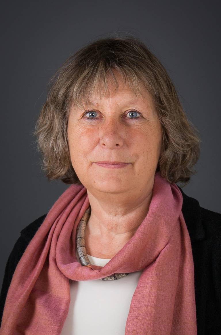 Hilde Lidén, forsker ved Institutt for Samfunnsforskning.