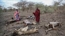 Rapport: Afrika rammes hardest av klimaendringene