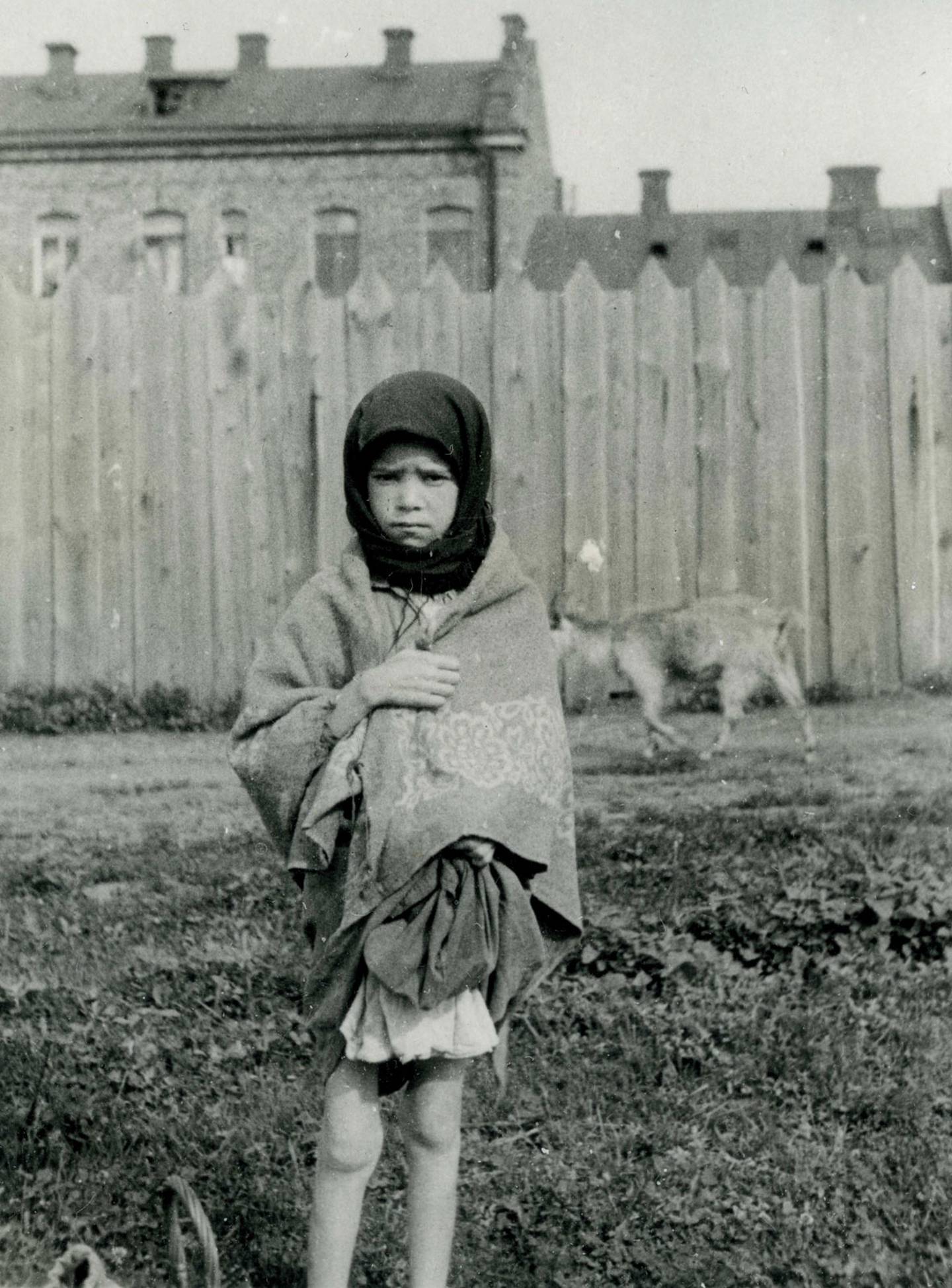 Child with signs of starvation on the streets of Kharkiv, Diocesan Archive of Vienna.
Date	1933
Source	Diocesan Archive of Vienna (Diözesanarchiv Wien)/BA Innitzer