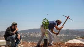 Angriper kristen TV-kanals treplanting i Palestina