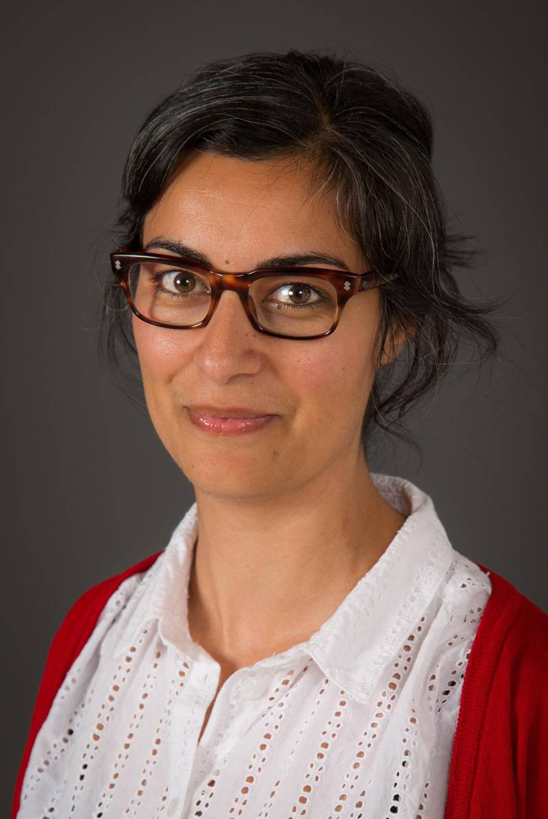 UTFORDRENDE: Marjan Nadim, sosiolog og forsker, mener det er vanskelig for algoritmer å «plukke opp» hatefulle ytringer.