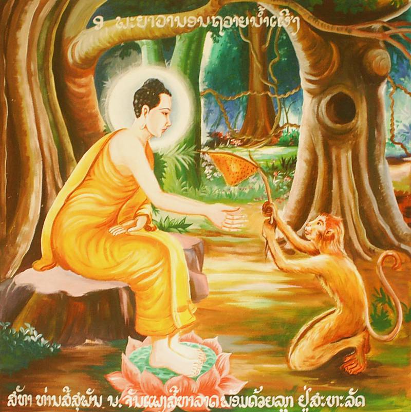 Buddha (400 f.Kr) får honning av en ape etter sin åndelige «oppvåkning». Bilde fra Laos.