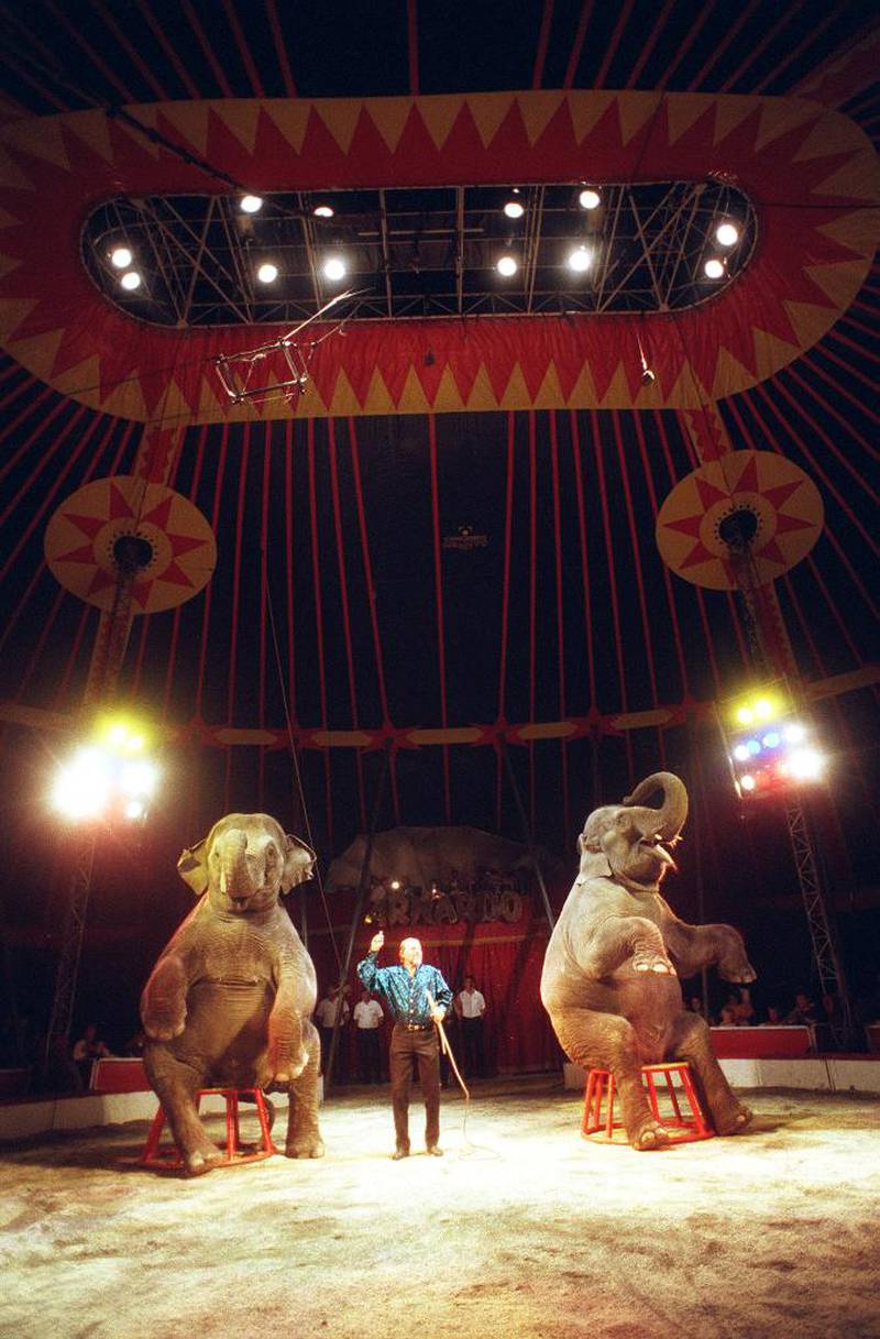 Sirkus Arnardo i 1997. Sirkuselefantene er et klassisk og velkommende innslag hos Cirkus Arnardo