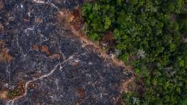 Rekordhøy avskoging i Amazonas