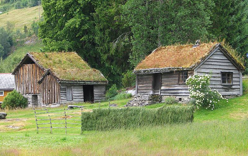 Sunnfjord Museum er bygd opp rundt Movika, en husmannsplass under gården Mo. Stua er fra tidlig 1800-tall, hit kom Nils Mortensøn og giftet seg med Marte i 1843 – og tok navnet Movig. Dette var i starten av perioden der sen-navn ble byttet ut med gårdsnavn.