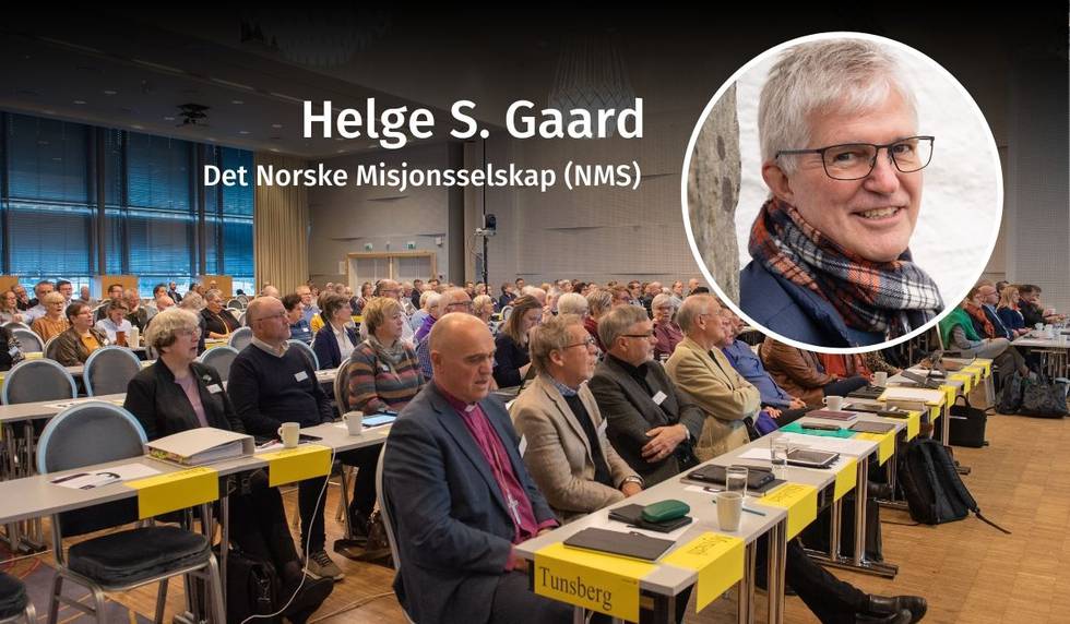 Helge S. Gaard, rasisme, debatt