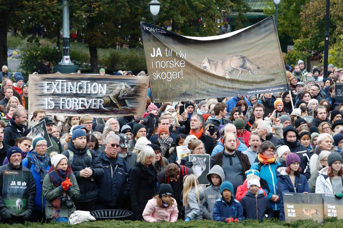 Ja til Ulven: 15. oktober samlet folk seg foran Stortinget for å markere sin motstand mot fellingstillatelsen på opptil 47 ulver som ble gitt i høst. Parolen lød: «La ulven leve! Stopp utryddingspolitikken nå!»